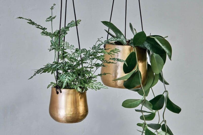 nkuku atsu brass hanging planter 14976411861101 1