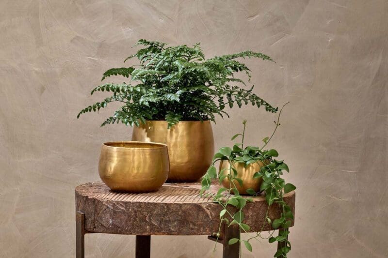 nkuku atsu brass planter 29522490359984 1