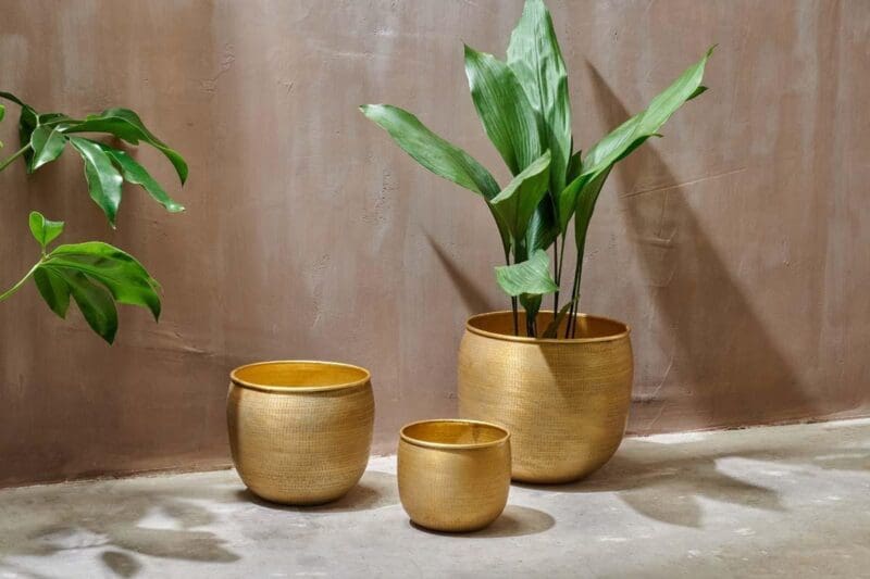 nkuku tembesi etched planter antique brass 29384472920240 1